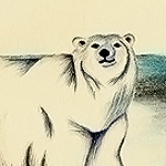 Eisb&auml;r, Ursus maritimus, Polar Bear, ours polaire