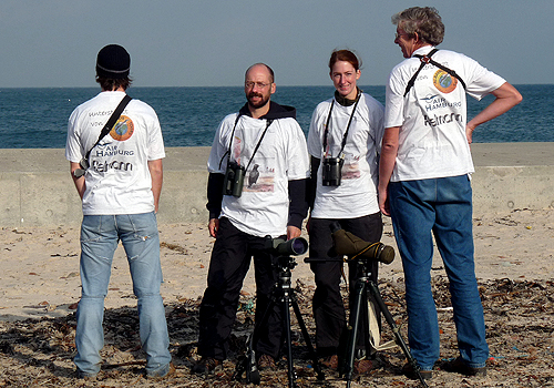 Die 4-Zehen-M&ouml;wen